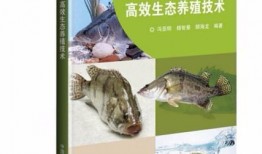 鳜鱼养殖爆料视频大全集,视频大全集深度解析