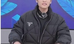 小杨哥兄弟爆料视频播放,揭秘幕后真相