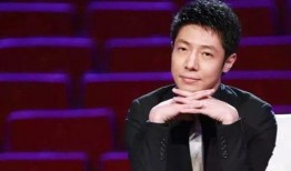 撒贝宁爆料铁甲视频播放,铁甲视频幕后播放之谜